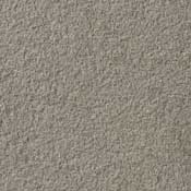 Silver Belly color swatch