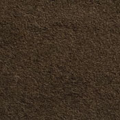 whiskey color swatch