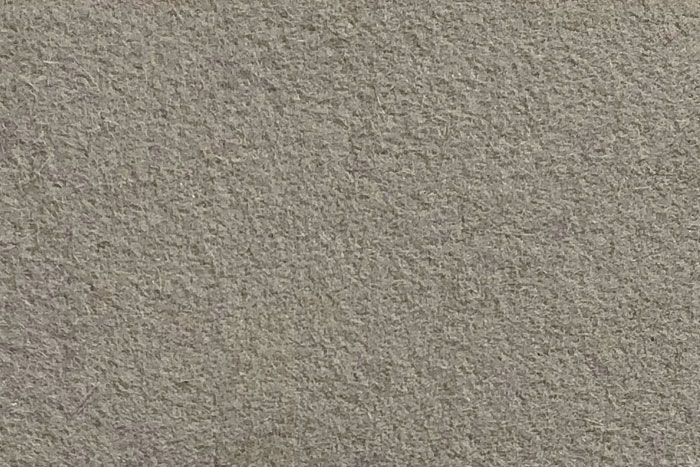 Silver Belly color swatch