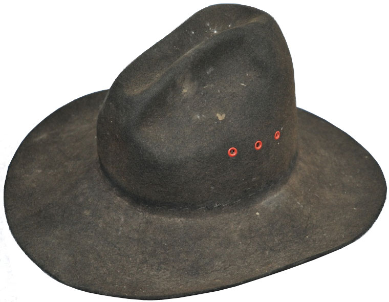 A dirty had that can be Renovated.